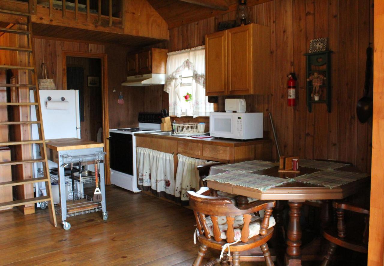 Bed and Breakfast Berry Creek Cabins Isabel Экстерьер фото
