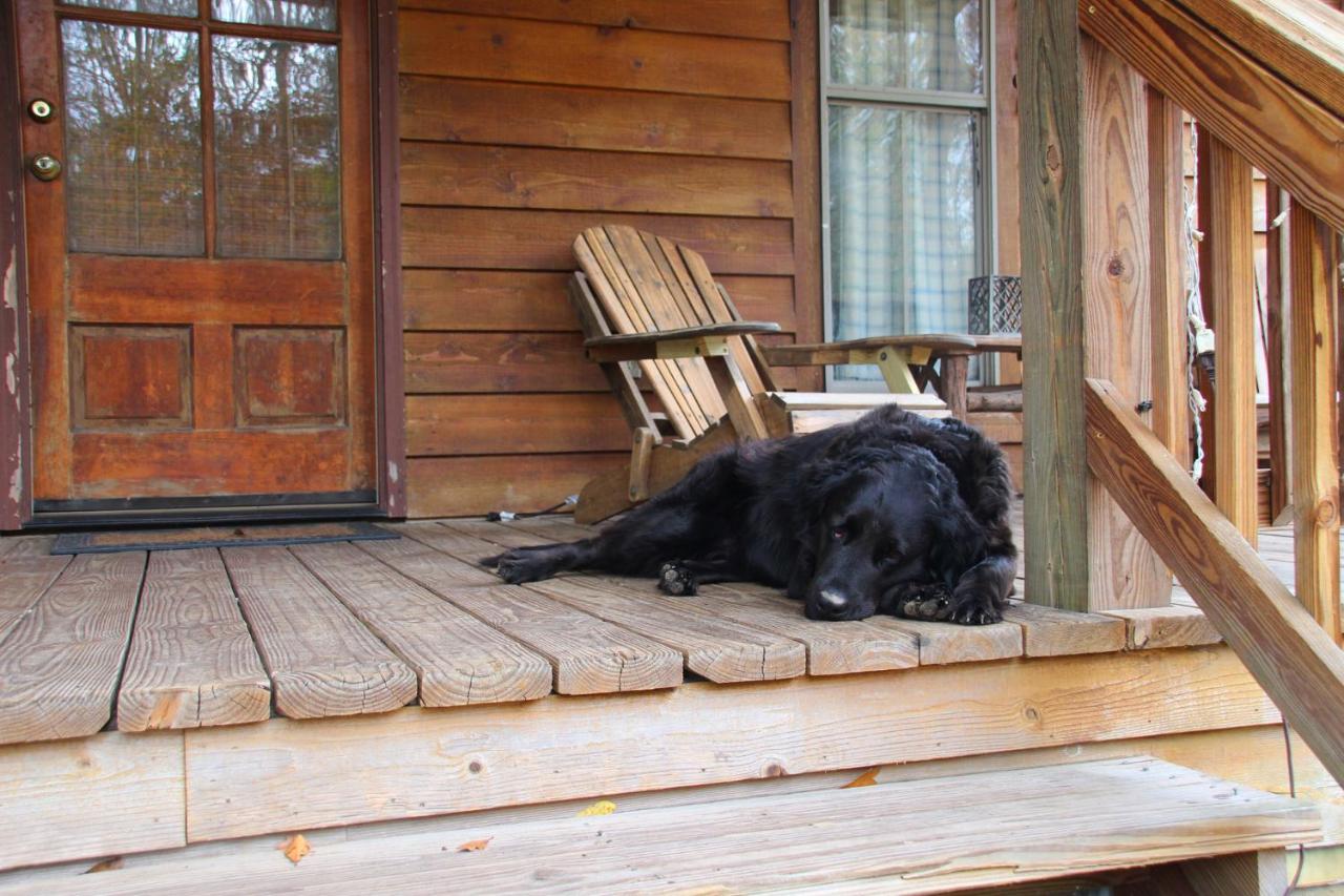Bed and Breakfast Berry Creek Cabins Isabel Экстерьер фото